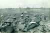 bullecourt02.jpg (656022 bytes)
